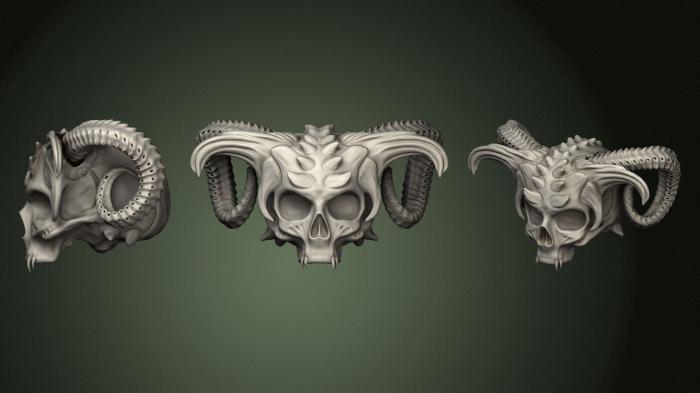Anatomy of skeletons and skulls (ANTM_1630) 3D model for CNC machine
